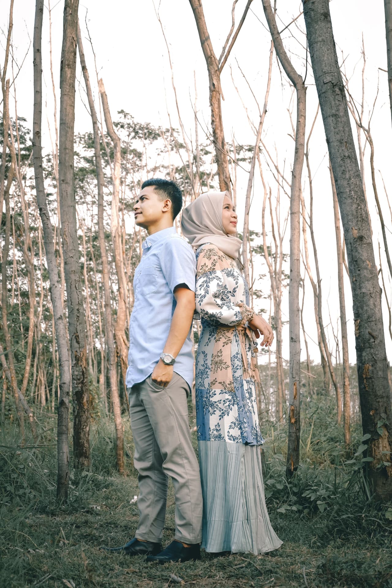 Pasangan berdiri di hutan pinus